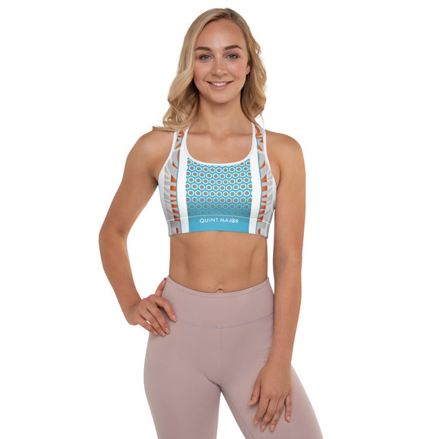 Graphite Sky Sports Bra