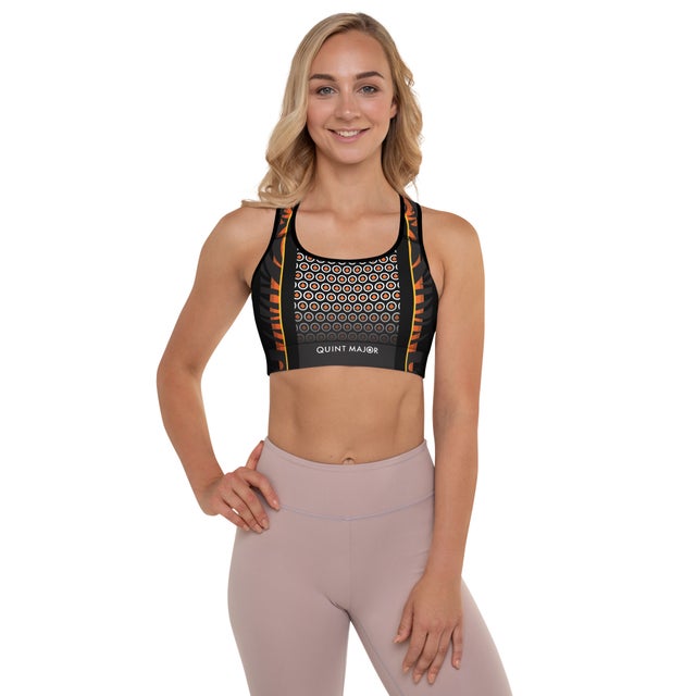 Graphite Shield Sports Bra