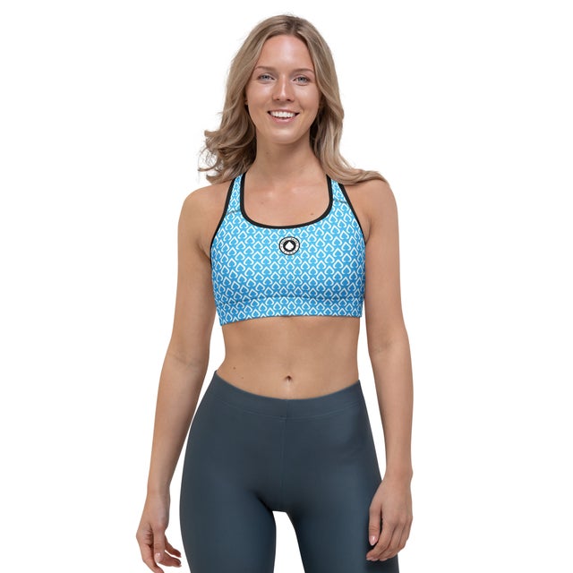 Sky Insignia Sports Bra