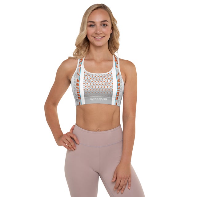 Graphite Silver Sports Bra